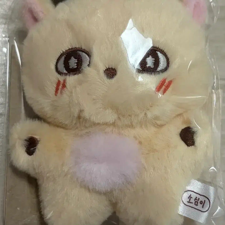 [BUNJANG] Park Jihoon Sosimi Doll / 박지훈 소심이 인형 양도