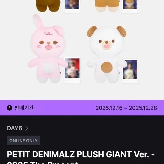 [BUNJANG] DAY6 Giant Petit Merz Bang Photocard / 데이식스 자이언트쁘띠멀즈 방 팝니다.