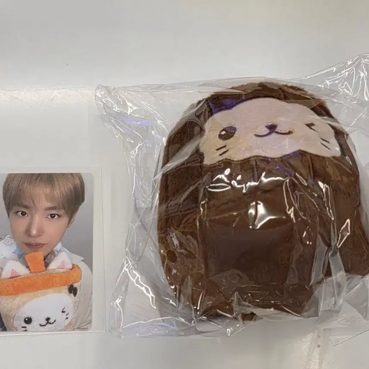 [BUNJANG] Canele Bubblenyan Yuushi Doll &amp; Photocard Bundle / 까눌레 버블냥+유우시 포카