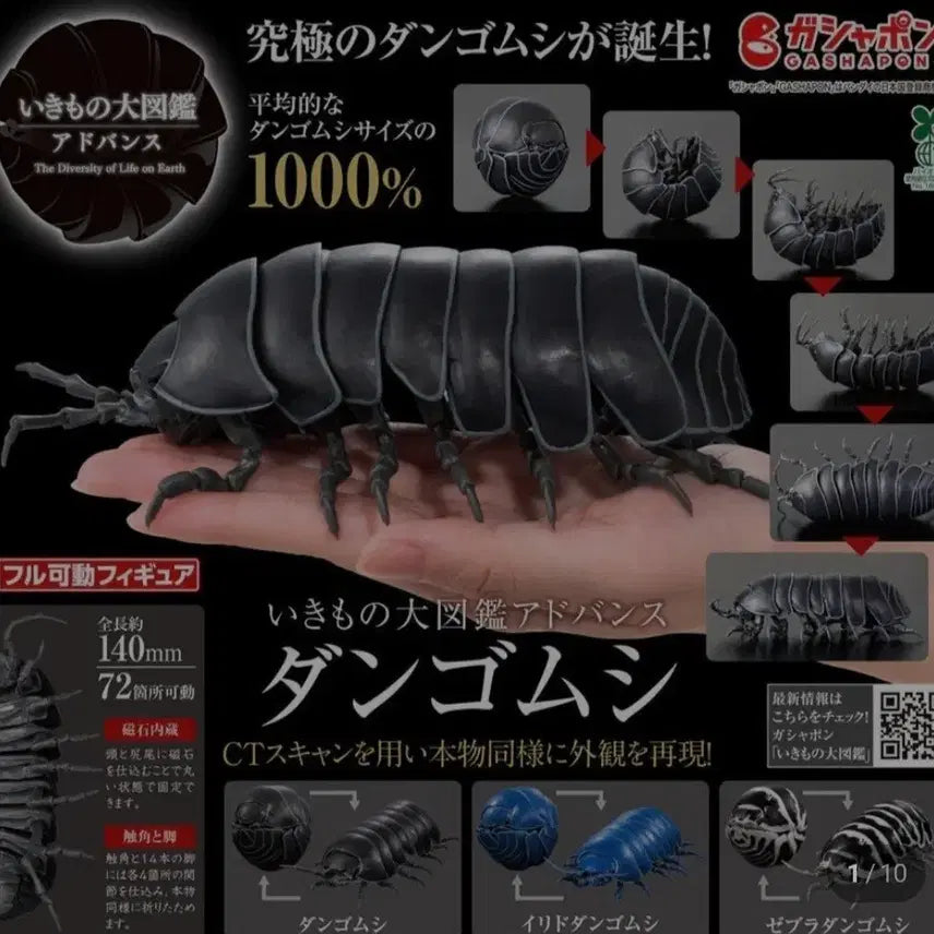 [BUNJANG] Bandai Bio-Gashadokuro Armored Roly-Poly Advance Dango-Mushi Full Action Figure / 반다이 생물대도감 공벌레 어드밴스 당고무시