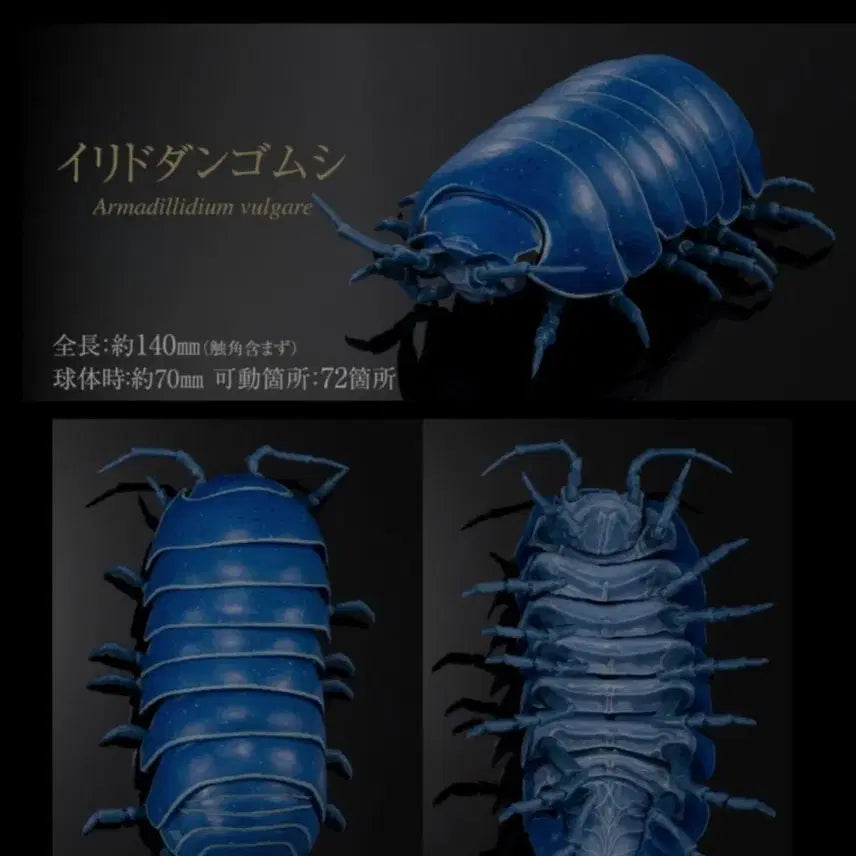 [BUNJANG] Bandai Bio-Gashadokuro Armored Roly-Poly Advance Dango-Mushi Full Action Figure / 반다이 생물대도감 공벌레 어드밴스 당고무시