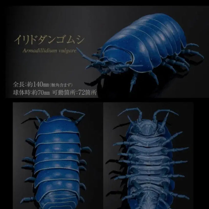 [BUNJANG] Bandai Bio-Gashadokuro Armored Roly-Poly Advance Dango-Mushi Full Action Figure / 반다이 생물대도감 공벌레 어드밴스 당고무시