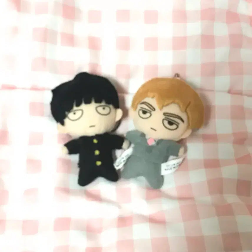 [BUNJANG] Mob Psycho 100 Kongnui Bundle Set / 모브사이코 100 콩누이 일괄
