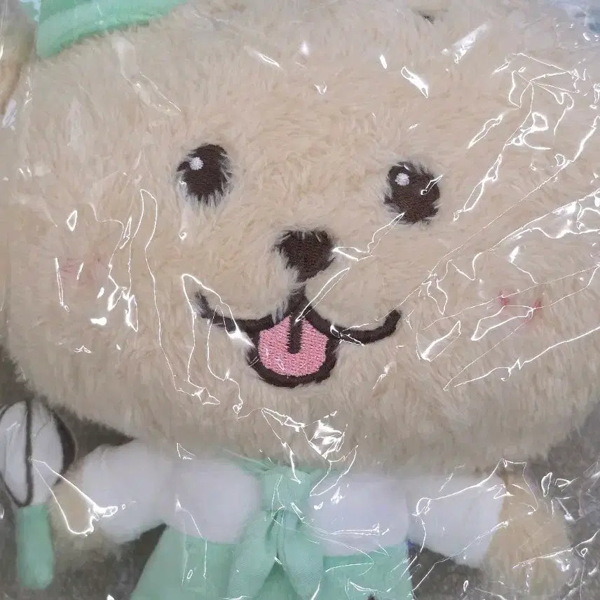 [BUNJANG] NCT WISH Jaehee Patissier Doll / nct wish 댕트리버 파티시에 재희인형