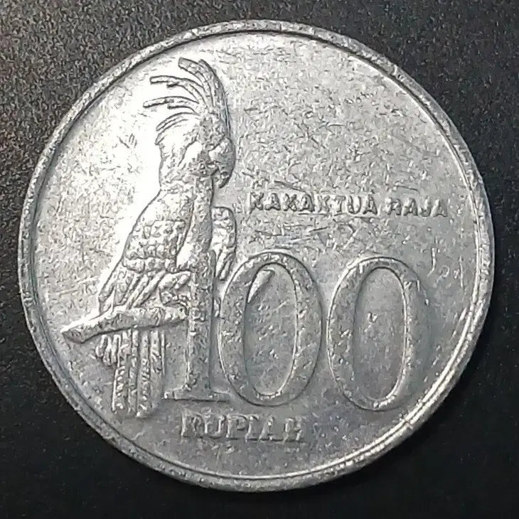 [BUNJANG] 1999 Indonesia 100 Rupiah Coin / 1999년 인도네시아 100루피아 동전 w1402
