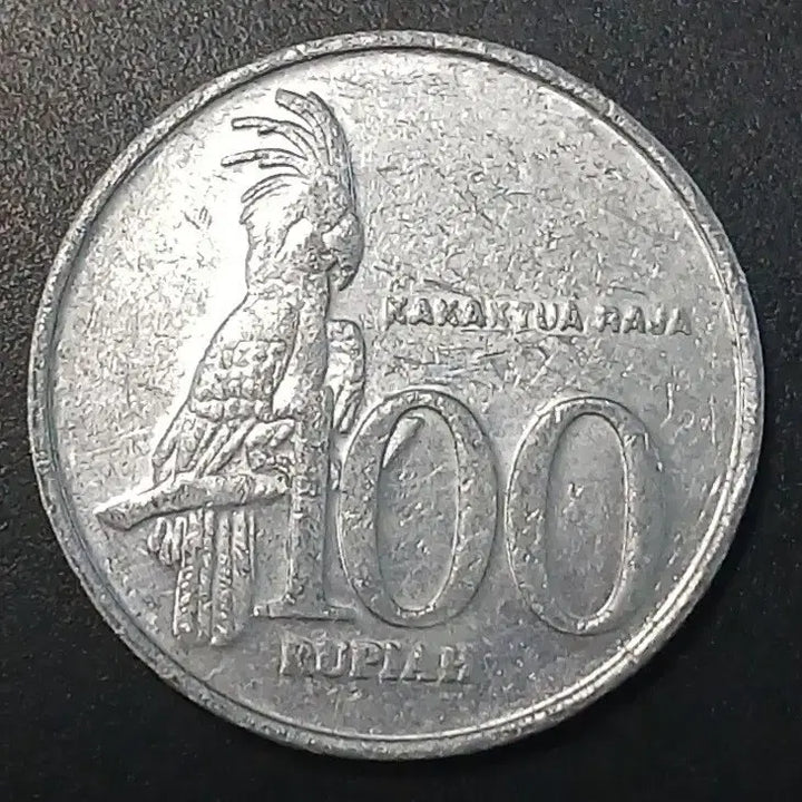 [BUNJANG] 1999 Indonesia 100 Rupiah Coin / 1999년 인도네시아 100루피아 동전 w1402