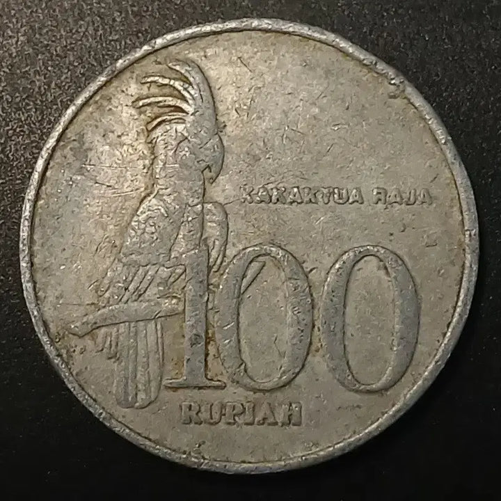 [BUNJANG] 1999 Indonesia 100 Rupiah Coin / 1999년 인도네시아 100루피아 동전 w1408