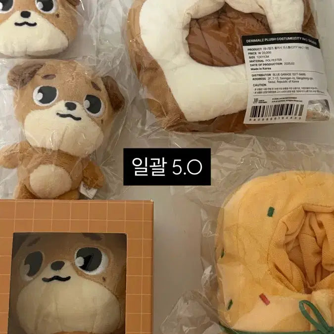 [BUNJANG] Day6 Dowoon Bundle Set / 데이식스 도운 굿즈 일괄판매
