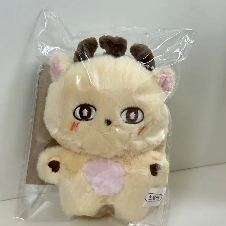 [BUNJANG] Park Ji Hoon Official MD Plushie Keyring / 박지훈 OFFICIAL MD 인형키링 소심이 판매 (새상품/미개봉)