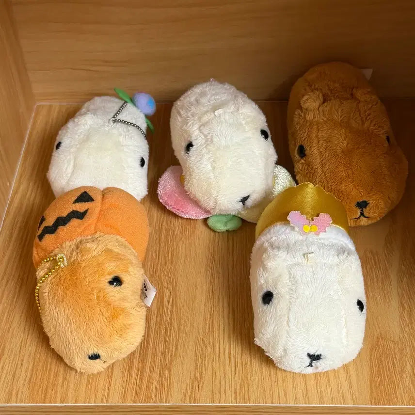[SOLD OUT] 카피바라 카피바라상 인형 키링 일괄
