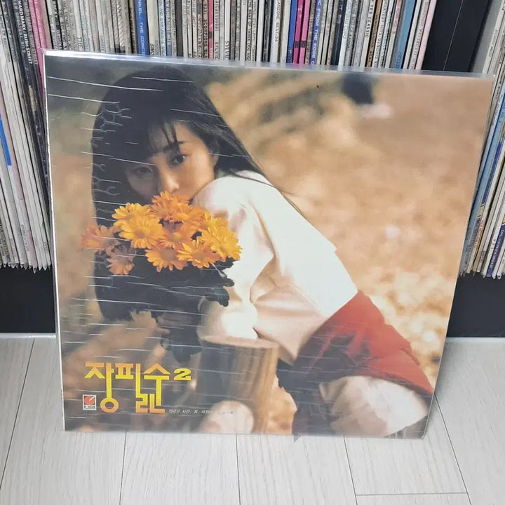 [BUNJANG] Jang Pil Soon 2nd Album (1991) LP / LP..장필순2집 초반(1991년)