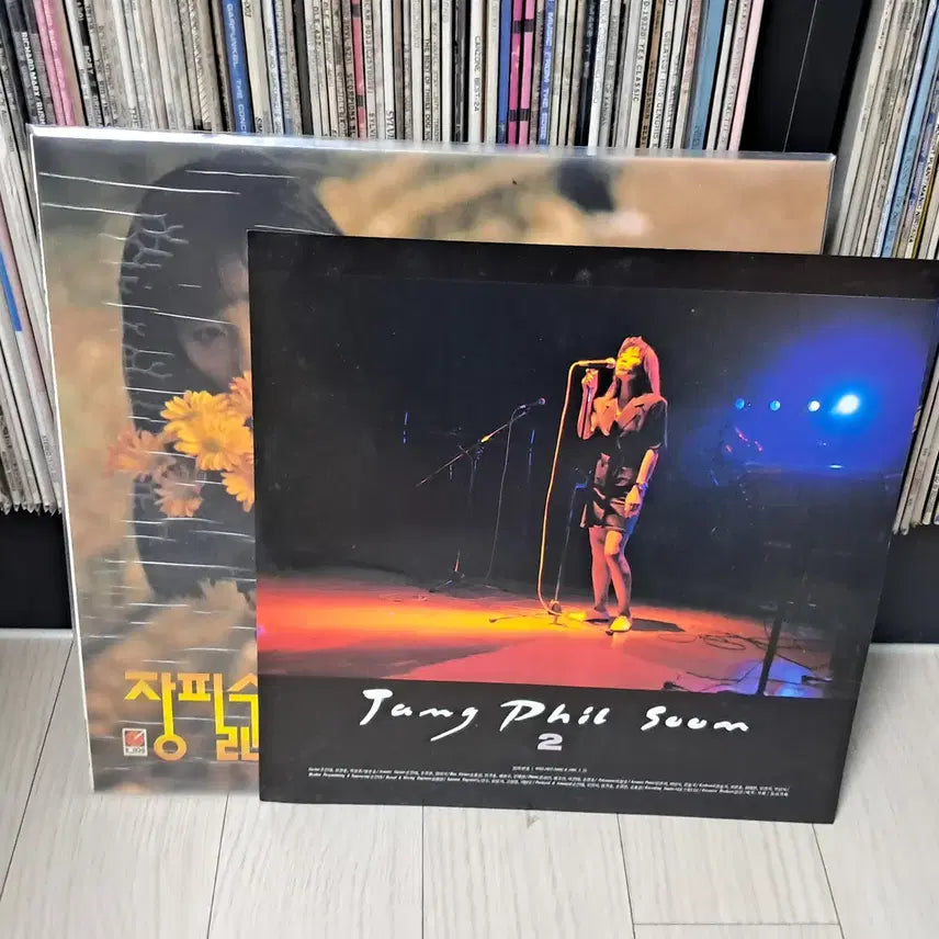 [BUNJANG] Jang Pil Soon 2nd Album (1991) LP / LP..장필순2집 초반(1991년)
