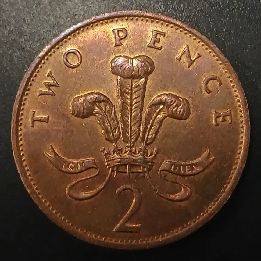 [BUNJANG] 1991 United Kingdom 2 Pence Coin / 1991년 영국 2펜스 동전 w1436