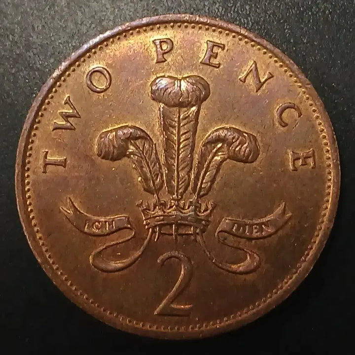 [BUNJANG] 1991 United Kingdom 2 Pence Coin / 1991년 영국 2펜스 동전 w1436
