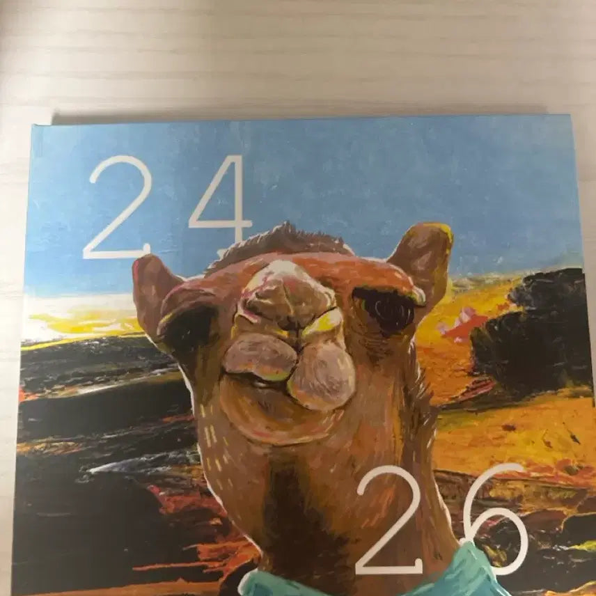 [SOLD OUT] 빈지노 2426 판매