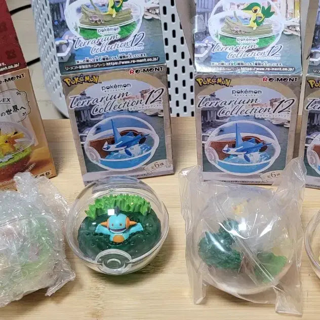 [BUNJANG] Pokemon Terrarium EX: Paldea Region Collection / 포켓몬스터 테라리움 12 / 테라리움ex : 팔데아지방