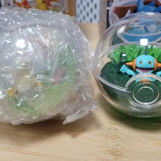 [BUNJANG] Pokemon Terrarium EX: Paldea Region Collection / 포켓몬스터 테라리움 12 / 테라리움ex : 팔데아지방