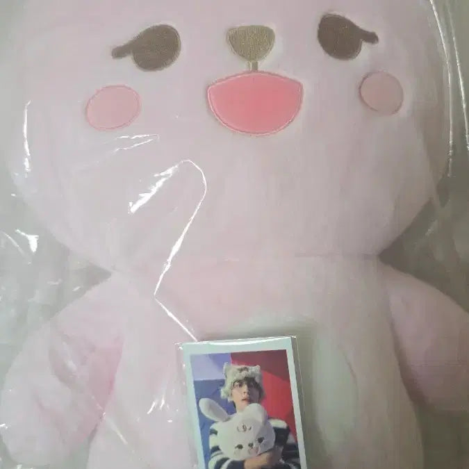 [BUNJANG] DAY6 Denimals Giant Petitmals Phil Photocard / 데이식스 데니멀즈 자이언트 쁘띠멀즈 필