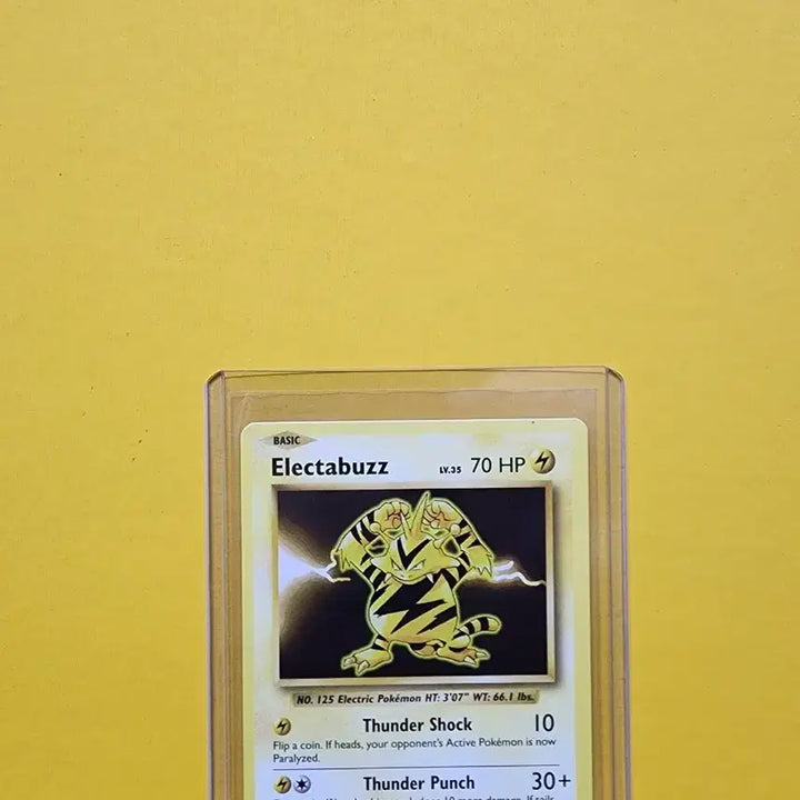 [BUNJANG] Pokemon Card Electabuzz / 포켓몬 카드 Electabuzz (에레브)