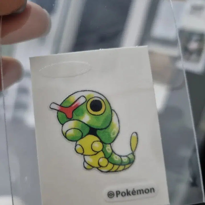 [BUNJANG] Caterpie Error Seal / 캐터피 오류씰