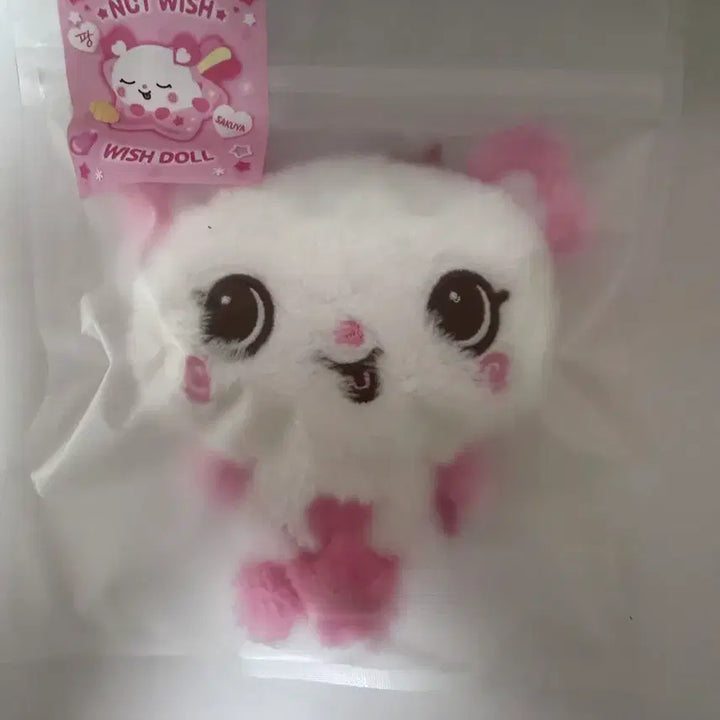 [BUNJANG] NCT WISH Wish Doll Pangie Sealed / 엔시티위시 위시돌 팡이 미개봉 팝니다