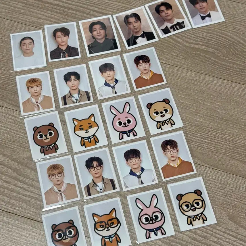 [BUNJANG] Day6 Sungjin Young K Jae Park Wonpil Bundle Set Proof Photos / 데이식스 방케필돈 증명사진 일괄