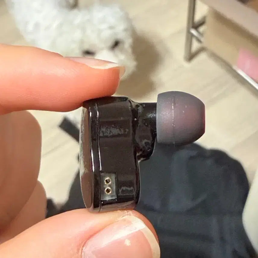 [BUNJANG] NCT Haechan Tasty In-Ear Earphones / 해찬 테이스티 인이어 이어폰
