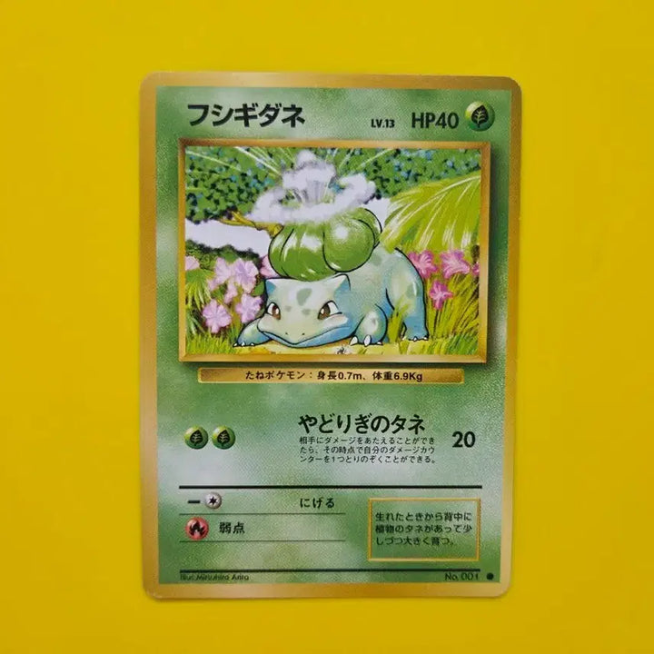 [BUNJANG] Pokemon Card 1996 Bulbasaur 1st Edition (A Grade, Japanese) / 포켓몬카드 1996 이상해씨 a급 초판 1st 1ed