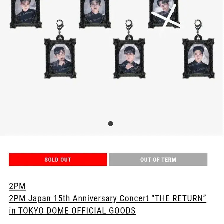 [BUNJANG] 2PM Tokyo Dome THE RETURN Goods Random Photo Charm / 2PM 도쿄돔 THE RETURN 굿즈 랜덤포토 참