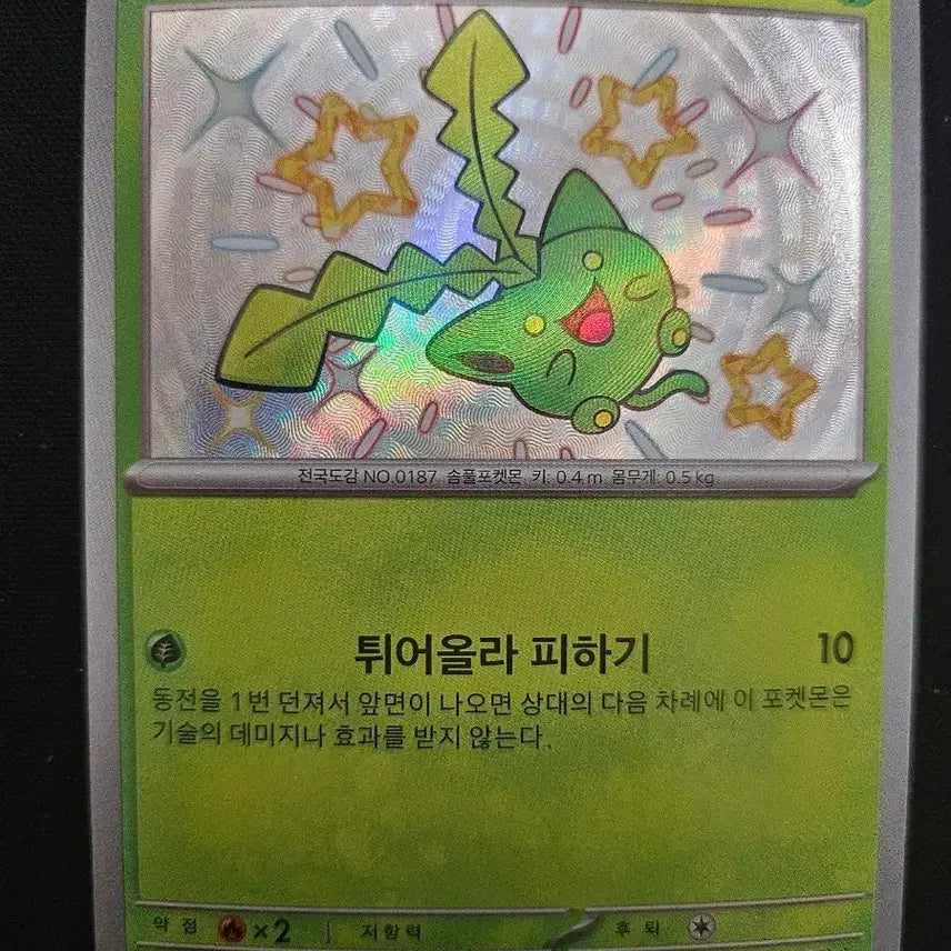 [BUNJANG] Pokemon Card "Tontonko S" Shiny Card / 포켓몬 카드 통통코 S 카드 판매합니다.