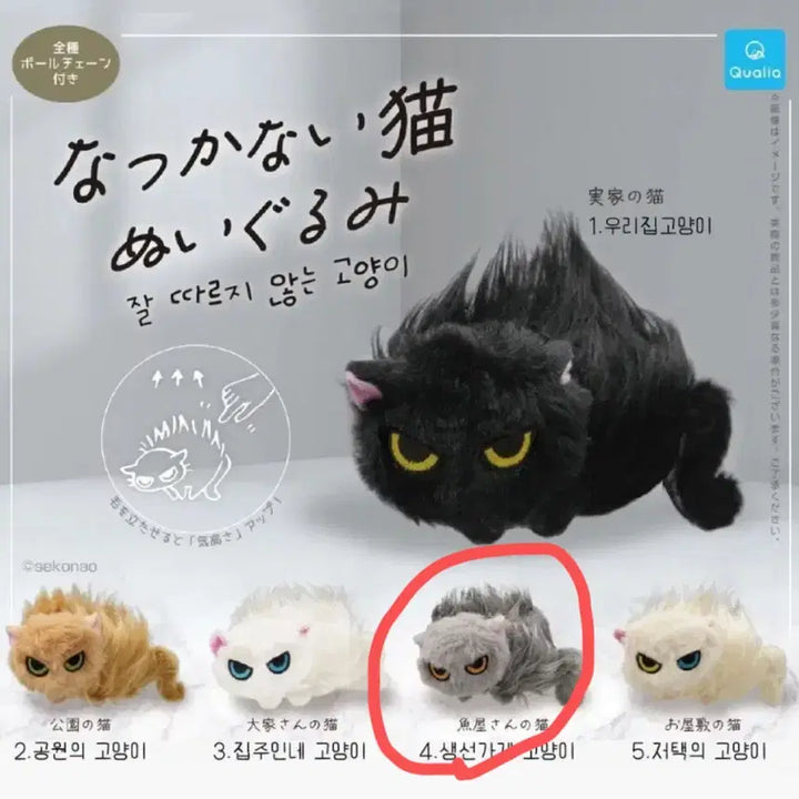 [BUNJANG] Natsukanai Cat Plush Keychain - Gray Angry Version / 나츠카나이 고양이 인형 키링 가챠 회색 화난 고양이 잘 따르지 않는