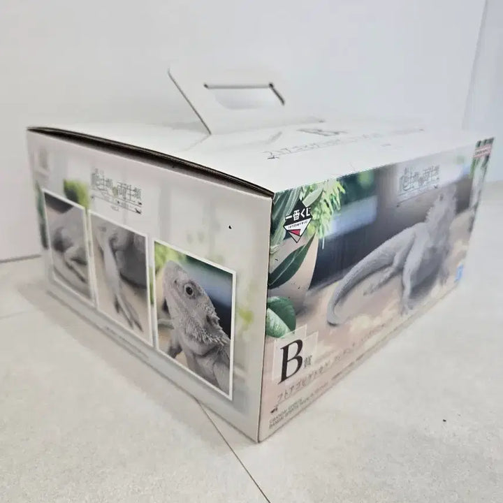 [BUNJANG] Bandai Ichiban Kuji Reptile B Prize Bearded Dragon Figure / 반다이 제일복권 이치방쿠지 파충류 B상 턱수염도마뱀 팝니다
