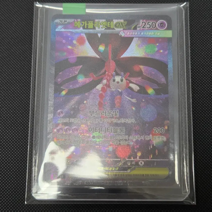 [BUNJANG] Pokemon Card Mega Pidgeot ex SAR / [포켓몬 카드] 메가플라엣테ex SAR