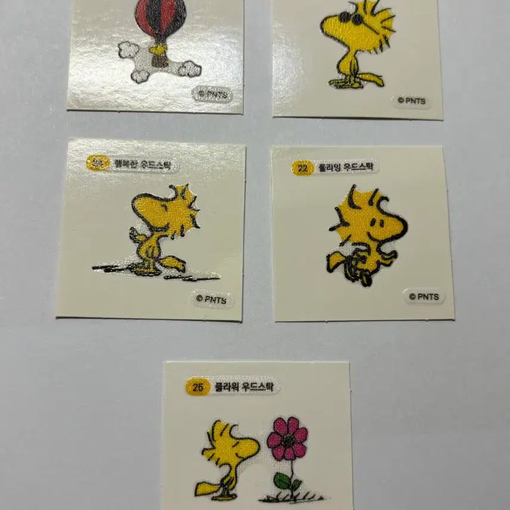 [BUNJANG] Woodstock Snoopy Collectible Sticker Set with Daiso Album / 우드스탁 띠부씰 다이소 캐릭터씰 콜렉트북 스누피 포비 피기니 아카네 일괄