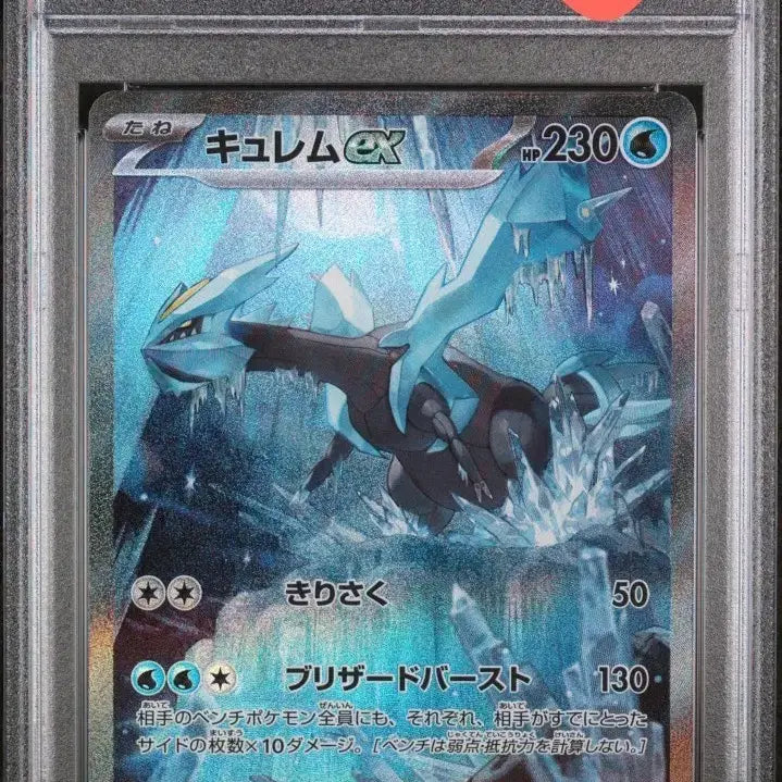 [BUNJANG] Pokemon Card Kyurem ex SAR PSA 10 / 포켓몬카드 큐레무ex sar psa10