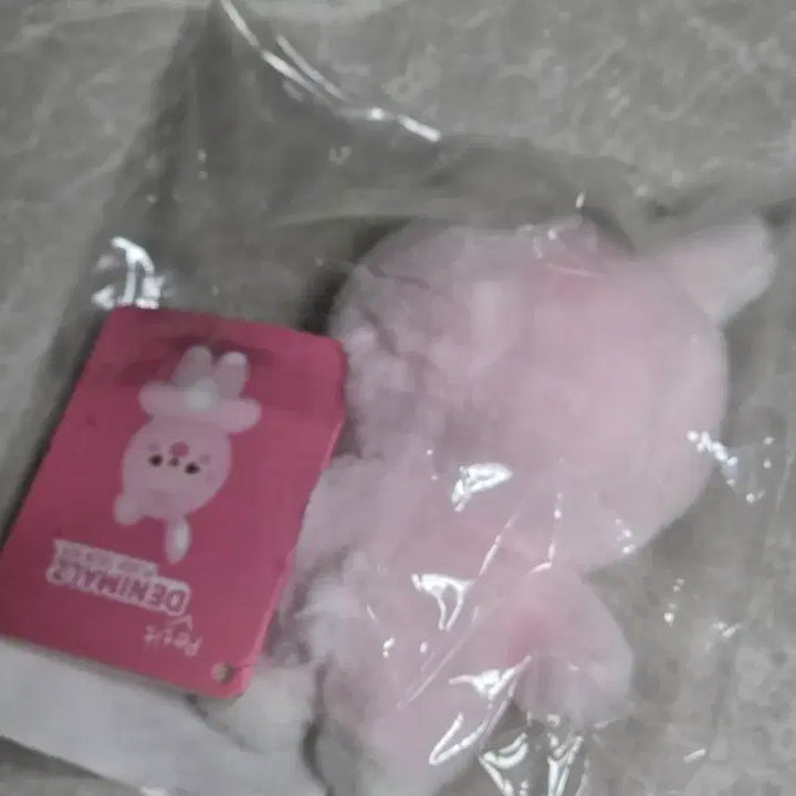 [BUNJANG] DAY6 Petit Malz Doll 10cm PIL / 데이식스 쁘띠멀즈 인형 10cm - PIL