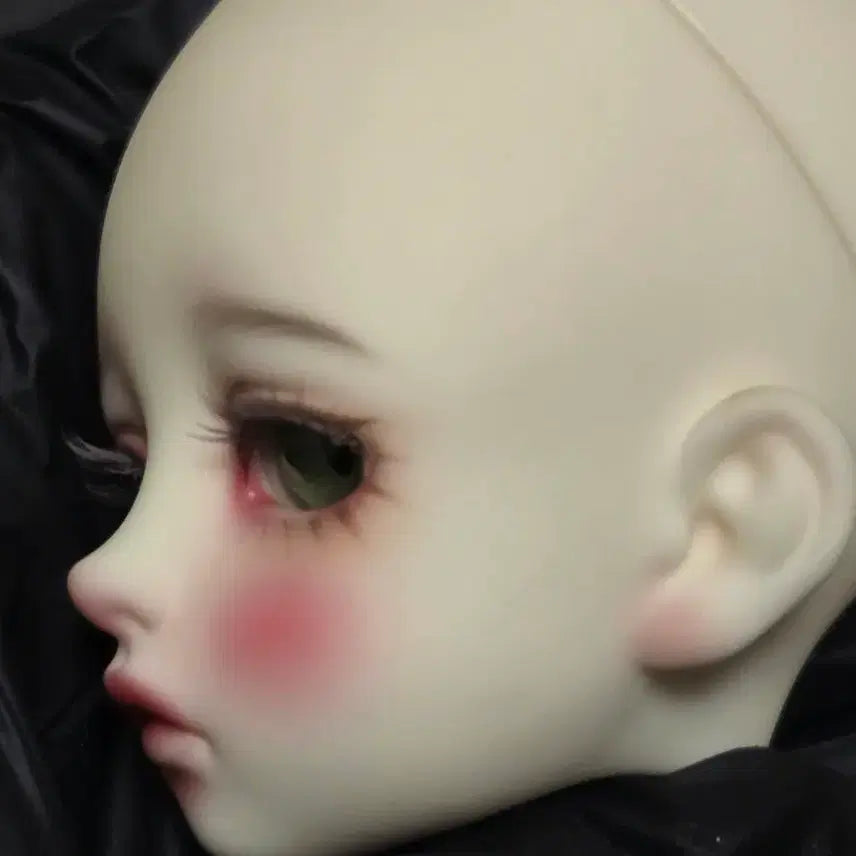 [BUNJANG] Angell Studio Yunis Whitening MSD Doll Head / 앙겔로그 유니스 미백 msd
