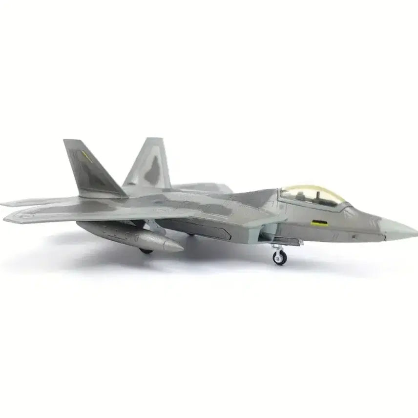 [BUNJANG] F-22 Raptor Fighter Jet Model (Die-cast Metal) 1/100 Scale / (금속) F-22 랩터 전투기 모형(피규어) 팝니다.