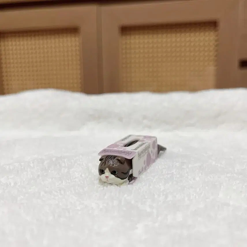 [BUNJANG] Hakotissfold Cat Tissue Miniature Figure (Series 3) / 하코티슈폴드 티슈 고양이 3 가챠 고양이 미니어처 피규어