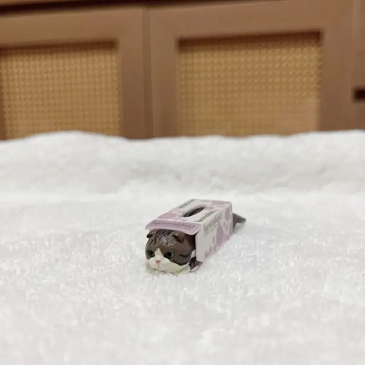 [BUNJANG] Hakotissfold Cat Tissue Miniature Figure (Series 3) / 하코티슈폴드 티슈 고양이 3 가챠 고양이 미니어처 피규어