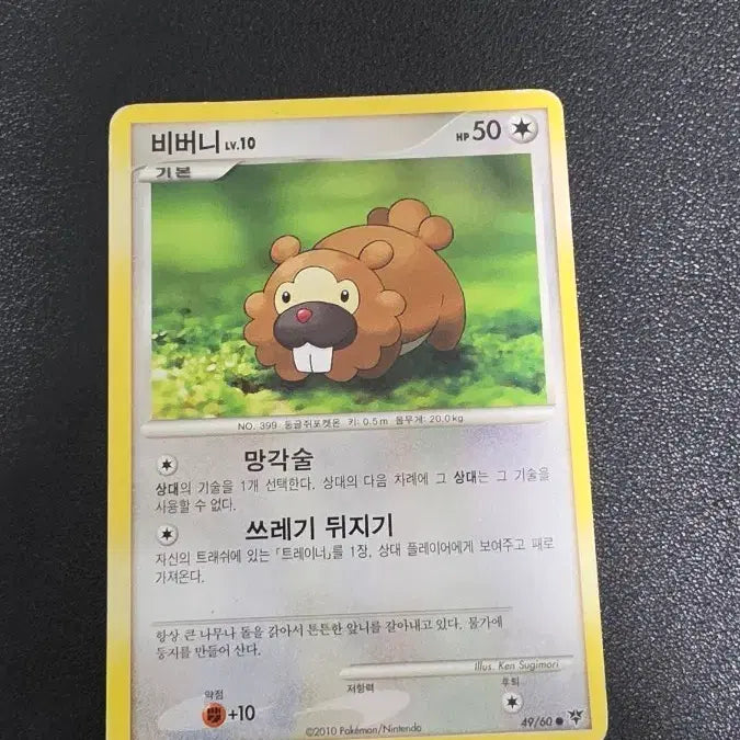 [BUNJANG] Pokemon Card Bibarel DP / 포켓몬 카드 비버니 dp