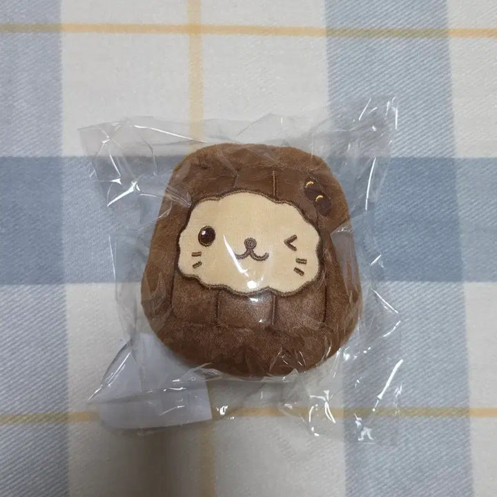 [BUNJANG] NCT WISH Yushi Bakery Wishdoll Cannelle Cat (Sealed) / (미개봉 원가) 엔시티 위시 베이커리 위시돌 유우시 버블냥 까눌레냥