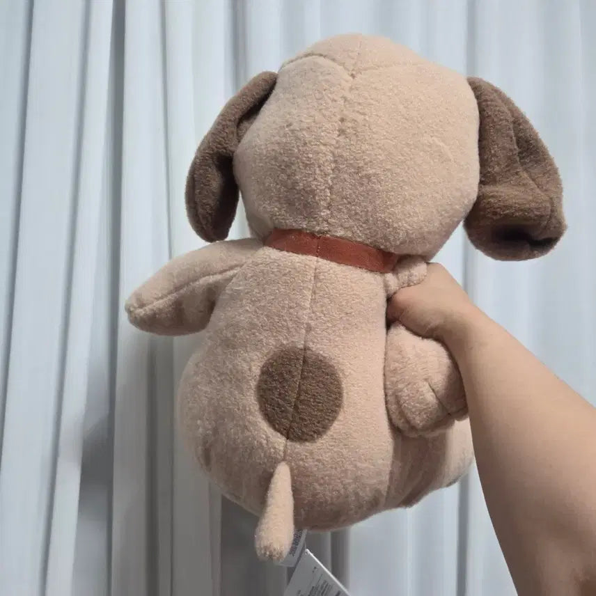 [BUNJANG] Vintage Snoopy Dog Large Plush Toy / 빈티지 토이 인형 고전 만화 피규어 캐릭터 굿즈 스누피 강아지  대형 빅