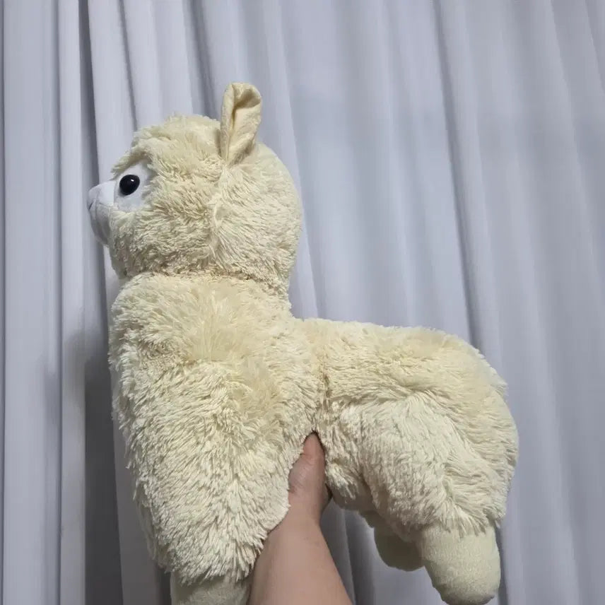 [BUNJANG] Vintage Alpaca Plush Doll - Large / 빈티지 토이 인형 고전 만화 피규어 캐릭터 굿즈 알파캇소 알파카 대형 빅