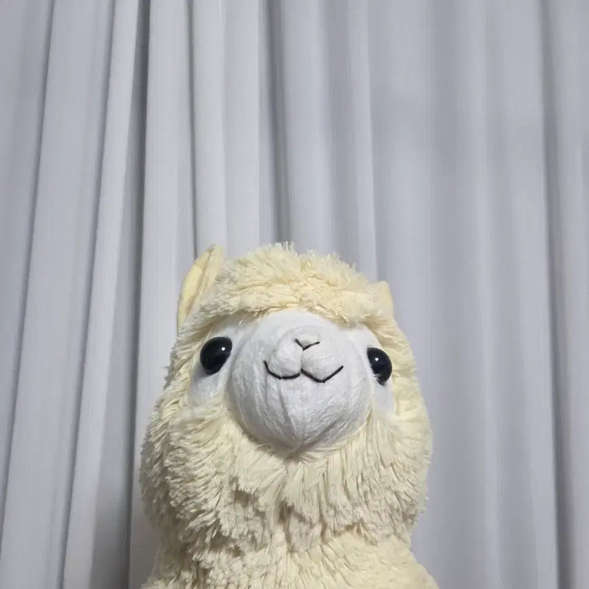 [BUNJANG] Vintage Alpaca Plush Doll - Large / 빈티지 토이 인형 고전 만화 피규어 캐릭터 굿즈 알파캇소 알파카 대형 빅