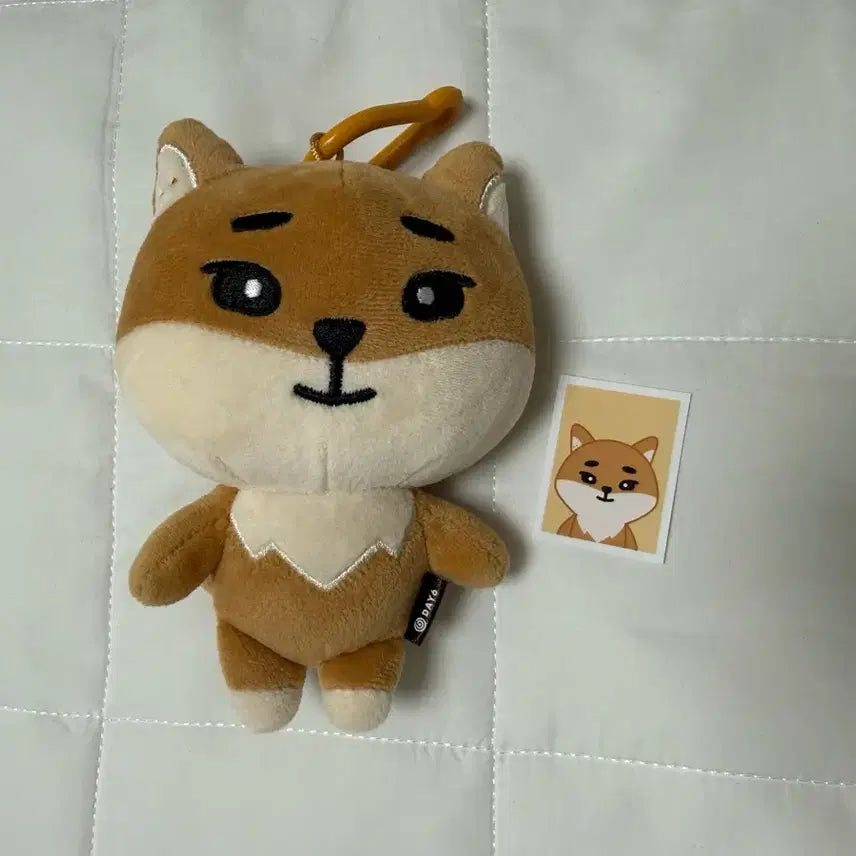 [BUNJANG] Day6 Denimals K Ver. Acrylic Display / 데이식스 데니멀즈 케 24 양도
