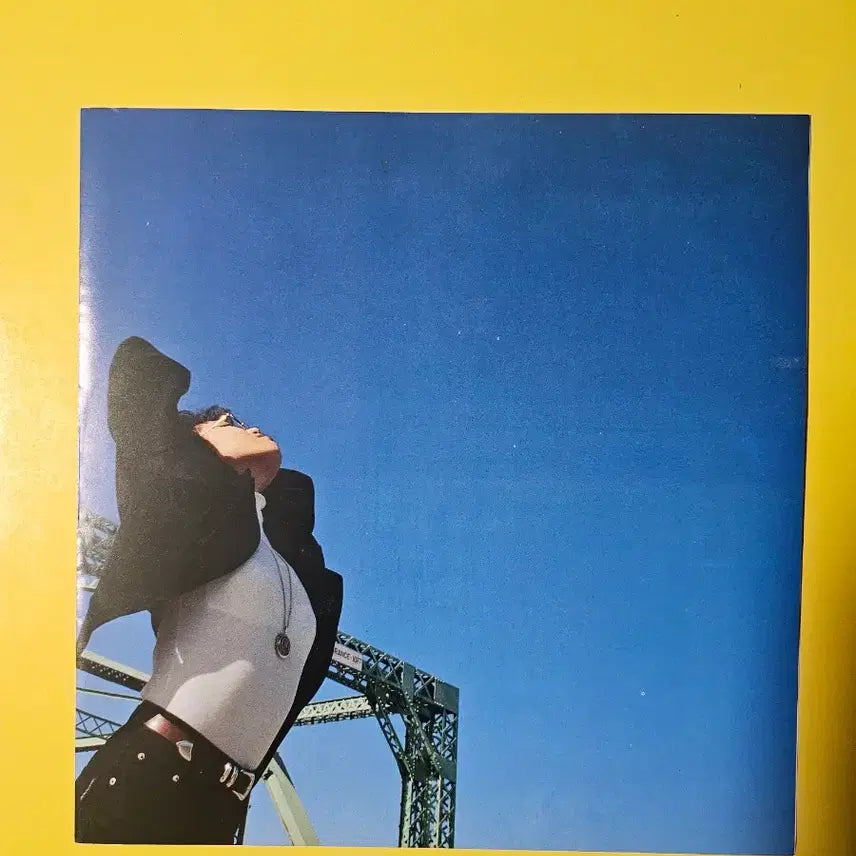 [BUNJANG] Lee Eun Mi 1st Album LP Vinyl Record / 이은미 1집 LP 음반 입니다.