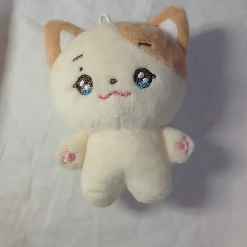 [BUNJANG] Apink Jung Eun Ji "Mungnyang" Plush Doll / 에이핑크 정은지 인형 믕냥이