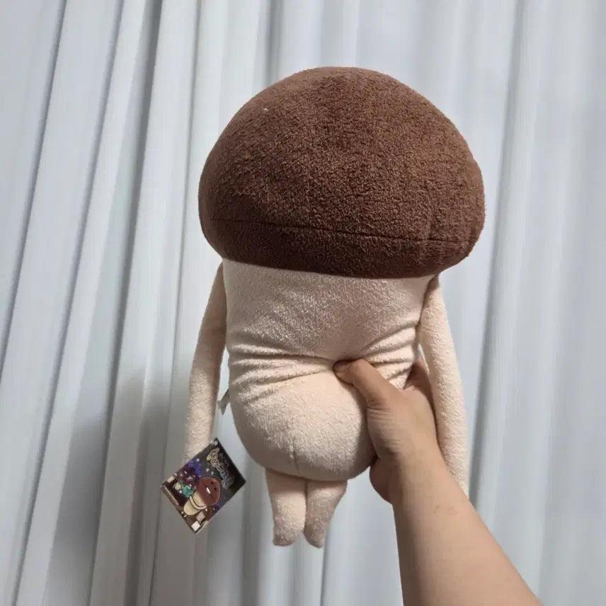 [BUNJANG] Vintage Toy Doll - Classic Cartoon Character Goods - Large &