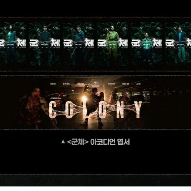 [BUNJANG] TTT Design Ticket + Bonus Ticket &amp; Accordion Postcard / [군체] TTT 디자인 티켓 + 보너스 티켓 및 아코디언엽서